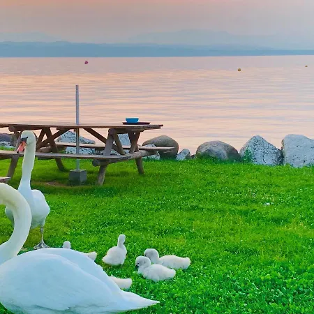Aquila D'oro Desenzano Дезенцано-дель-Гарда